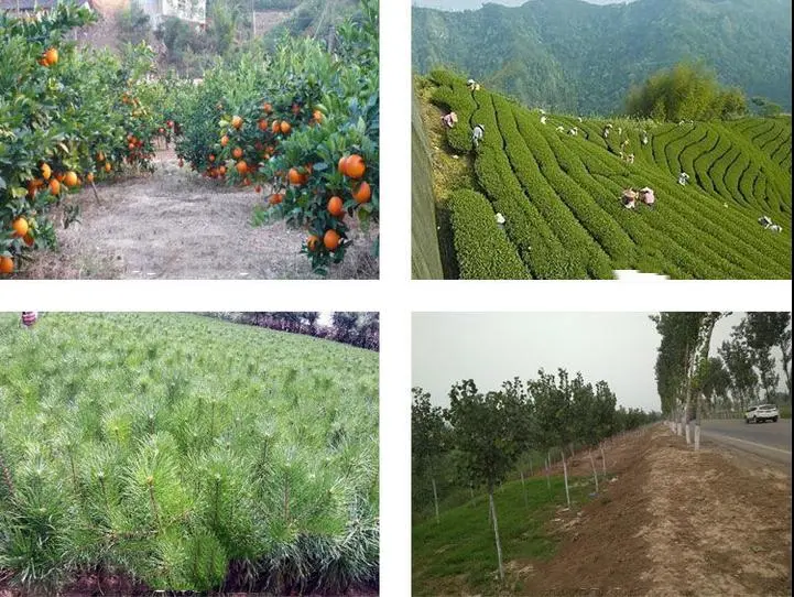 Sc annuale di Weedicide Mesotrione 15% dell'erbaccia di controllo del diserbante del giacimento della canna da zucchero del cereale