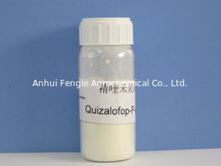 Quizalofop-P- Ethyl95%TC, 98%TC, soia/antiparassitario agrochimico per le erbacce erbose annuali, polvere bianchiccia del cotone
