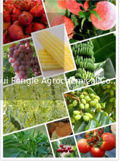 25057-89-0 diserbante agrochimico Bentazone 95%TC degli antiparassitari