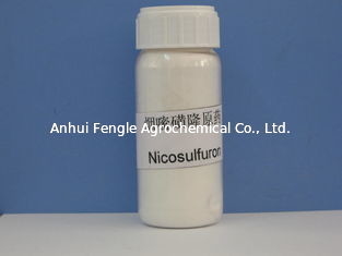 Diserbante Nicosulfuron 97% TC CAS No 111991-0904