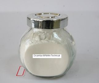 Dicamba98%TC, antiparassitari agrochimici sulle erbacce a foglia larga annuali e perenni, polvere giallo-chiaro, cereale del grano del mais