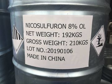 Nicosulfuron 80g/L OD, liquido bianco latteo, uccisore a foglia larga dell'erba per mais