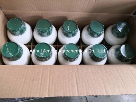 48477-71-8 insetticida Spirodiclofen 24%Sc di controllo dei parassiti
