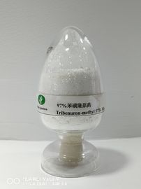 Tribenuron-methyl95%TC, diserbante agricolo, vasto controllo Leaved di postemergenza delle erbacce